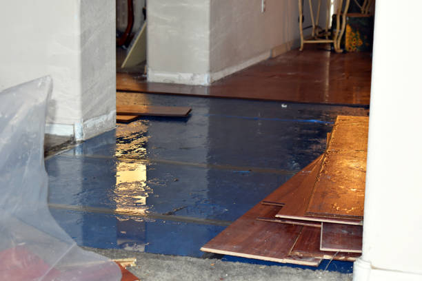 Professional Basement Flood Cleanup technician working in Auburndale, FL
